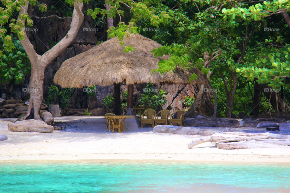 beach ocean sky green by itsAus