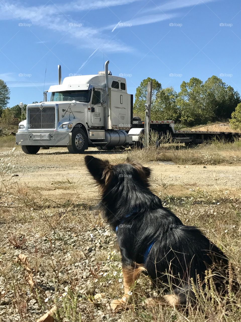 Otis loves big trucks & motorcycles