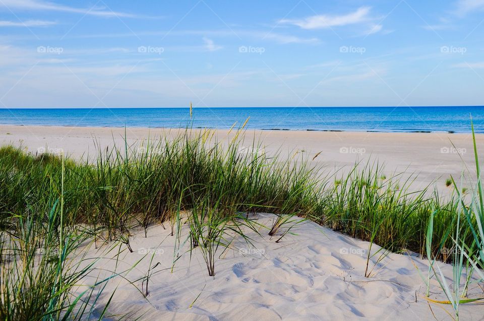 Scenic view of beach