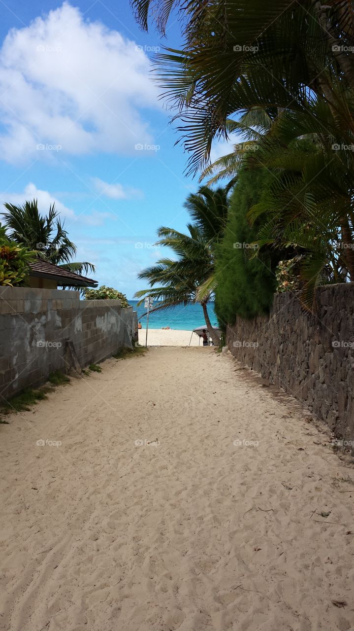 Road to Lanikai . alleyway to get to the beach