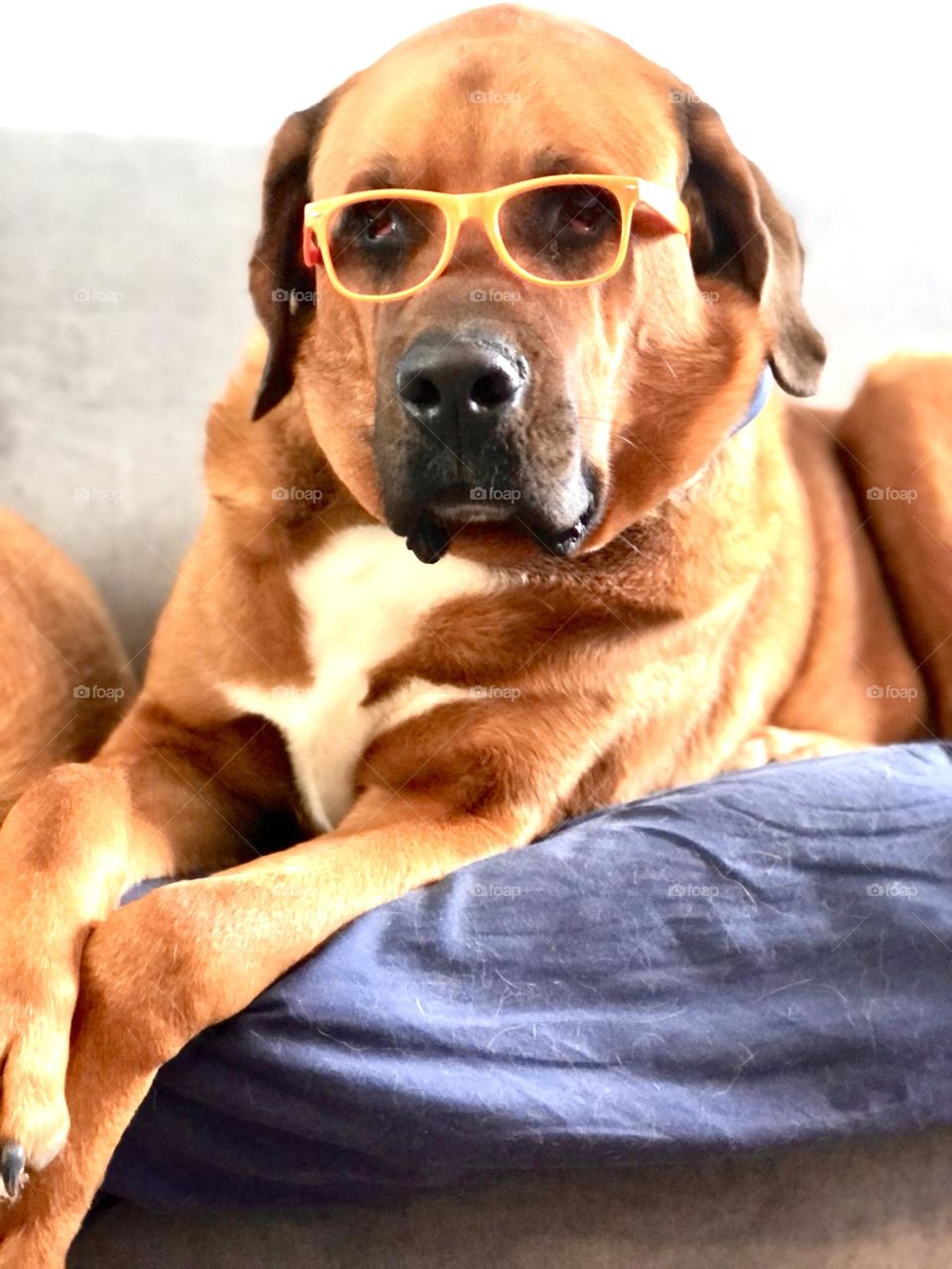 My best friend in the whole world 