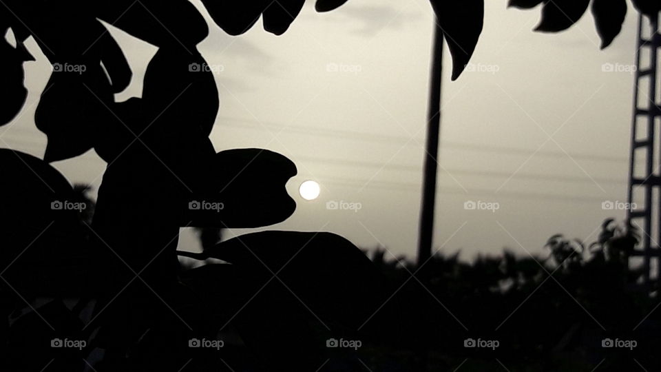 Silhouette, People, Monochrome, Backlit, Sunset