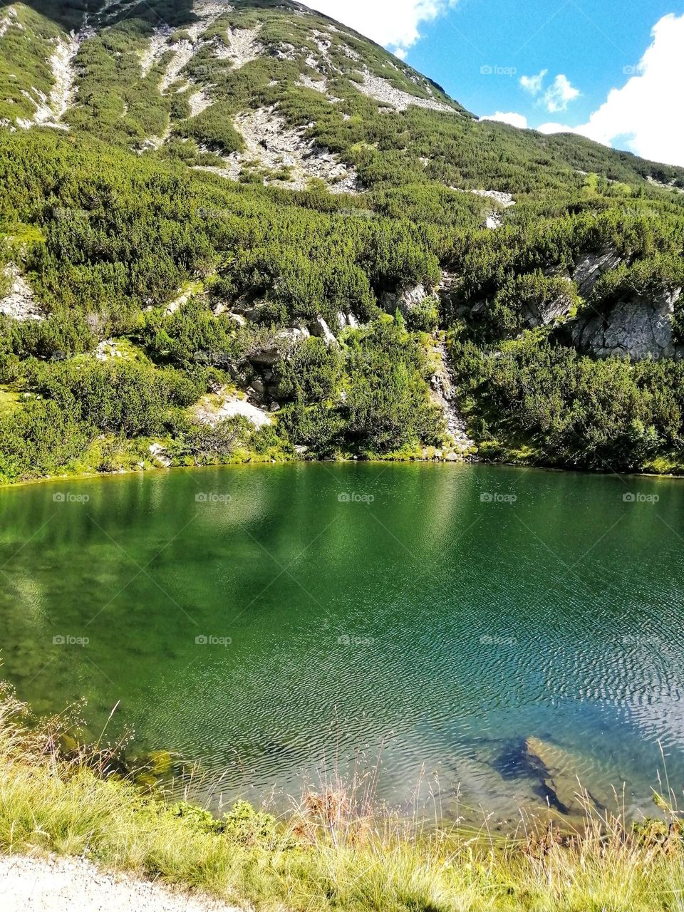 A beautiful lake in Pirin mountain in Bulgaria in the summer with amazing green colors and calm waters