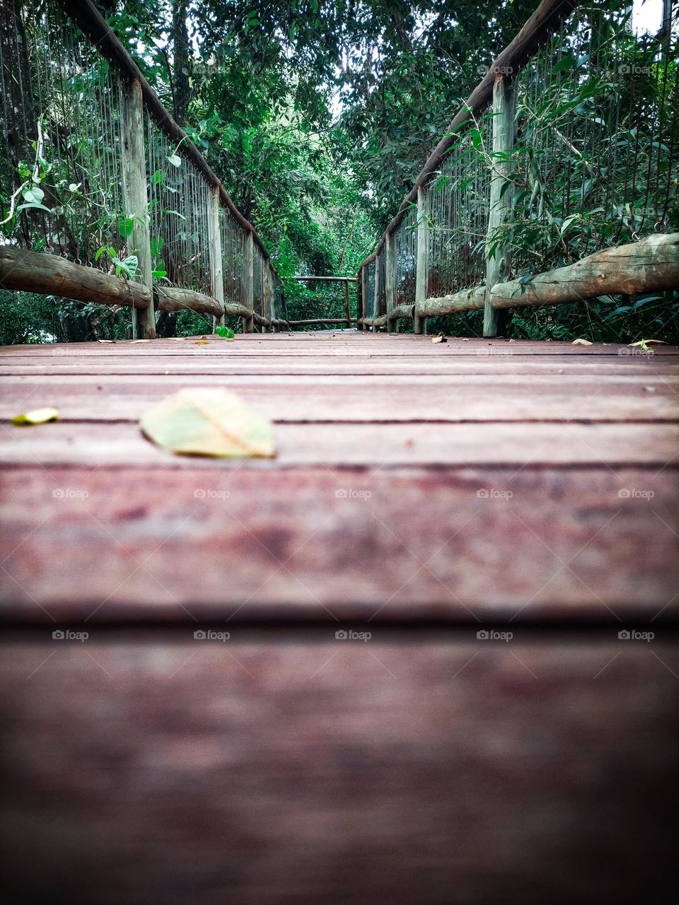 Ponte de madeira. Forma retangular com madeiras