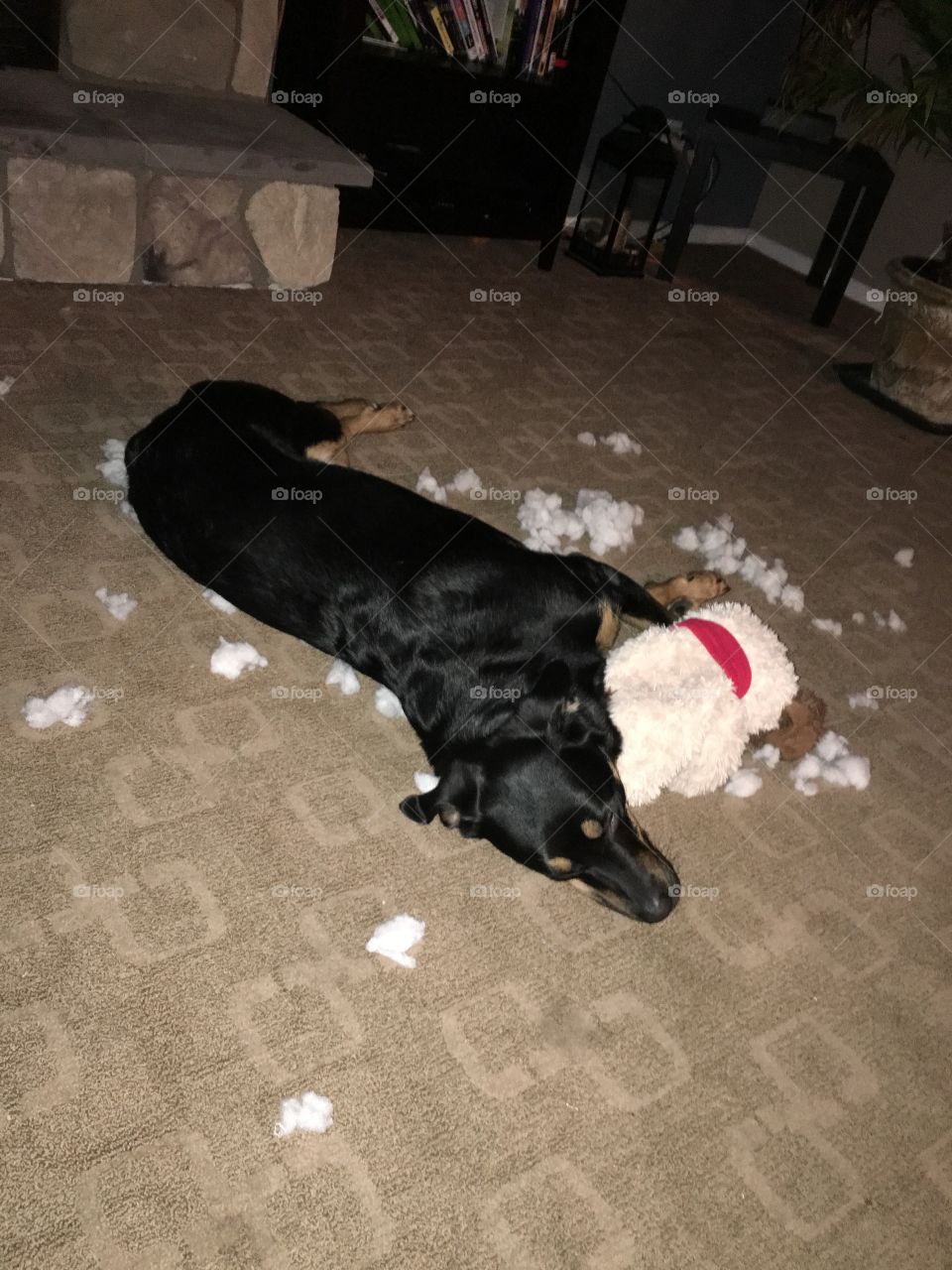 Jake is passed out after making a mess!