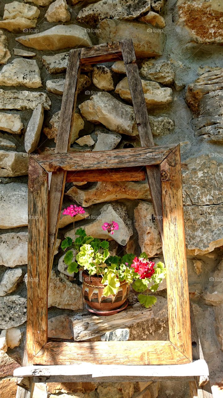 Flower in a frame