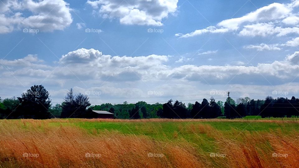 Landscape, No Person, Nature, Rural, Field