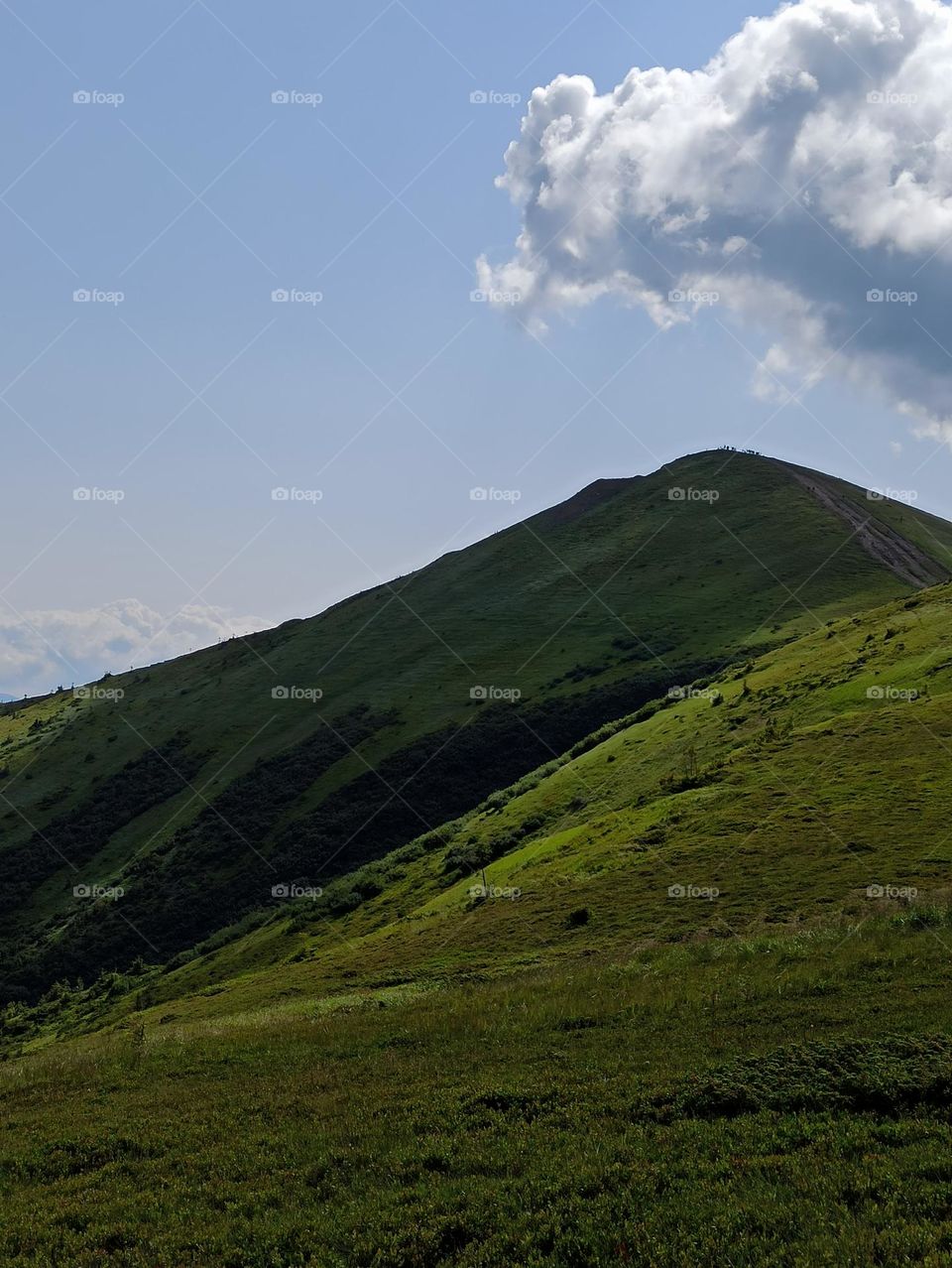 Your favourite travel destination 
My beloved Carpathians. Green flower meadows. Cows with bells around their necks. Unforgettable trip across Ukraine. Mountains Dragobrat. Magnificent nature.