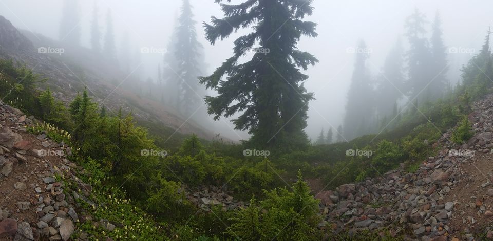 Fog / mist, Diamond Head - Elfin Lakes Trail, Squamish-Lillooet D, BC, Canada 🍁