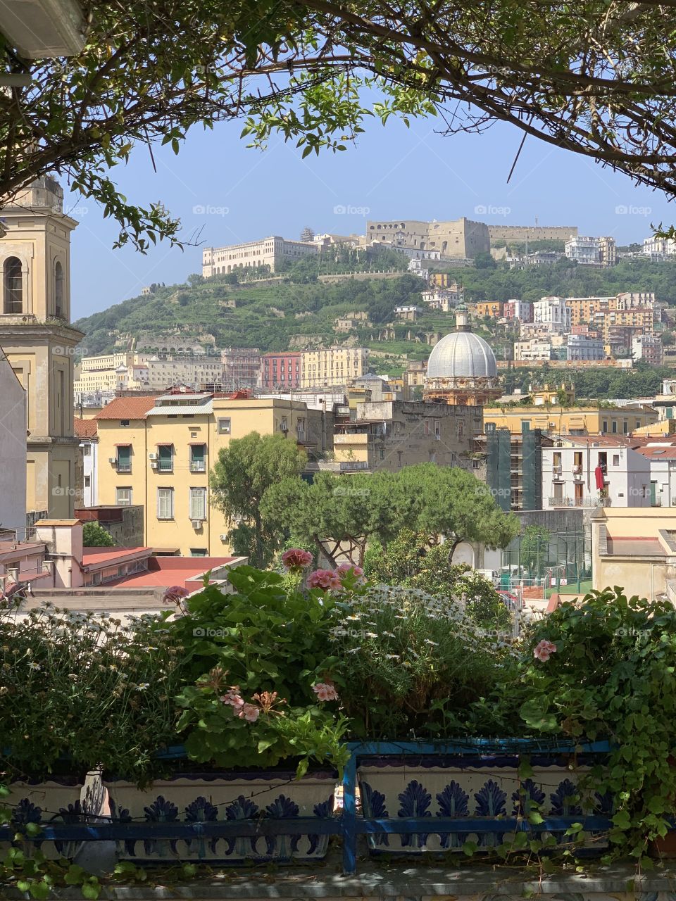 Greetings fro Naples, Italy