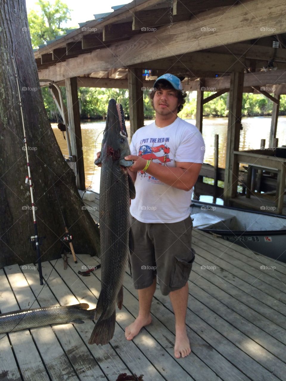 Alligator gar,  