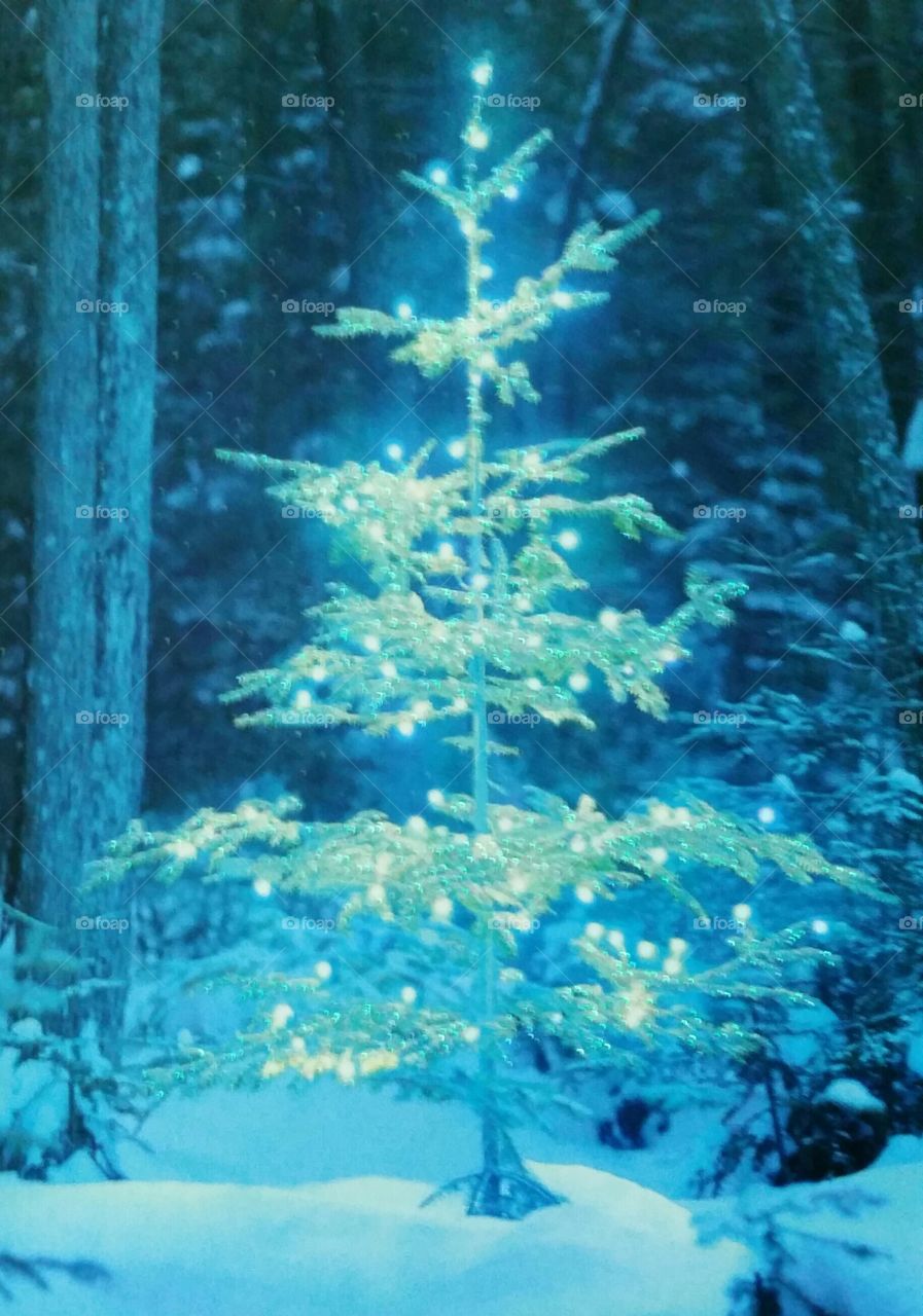 snowy Christmas tree