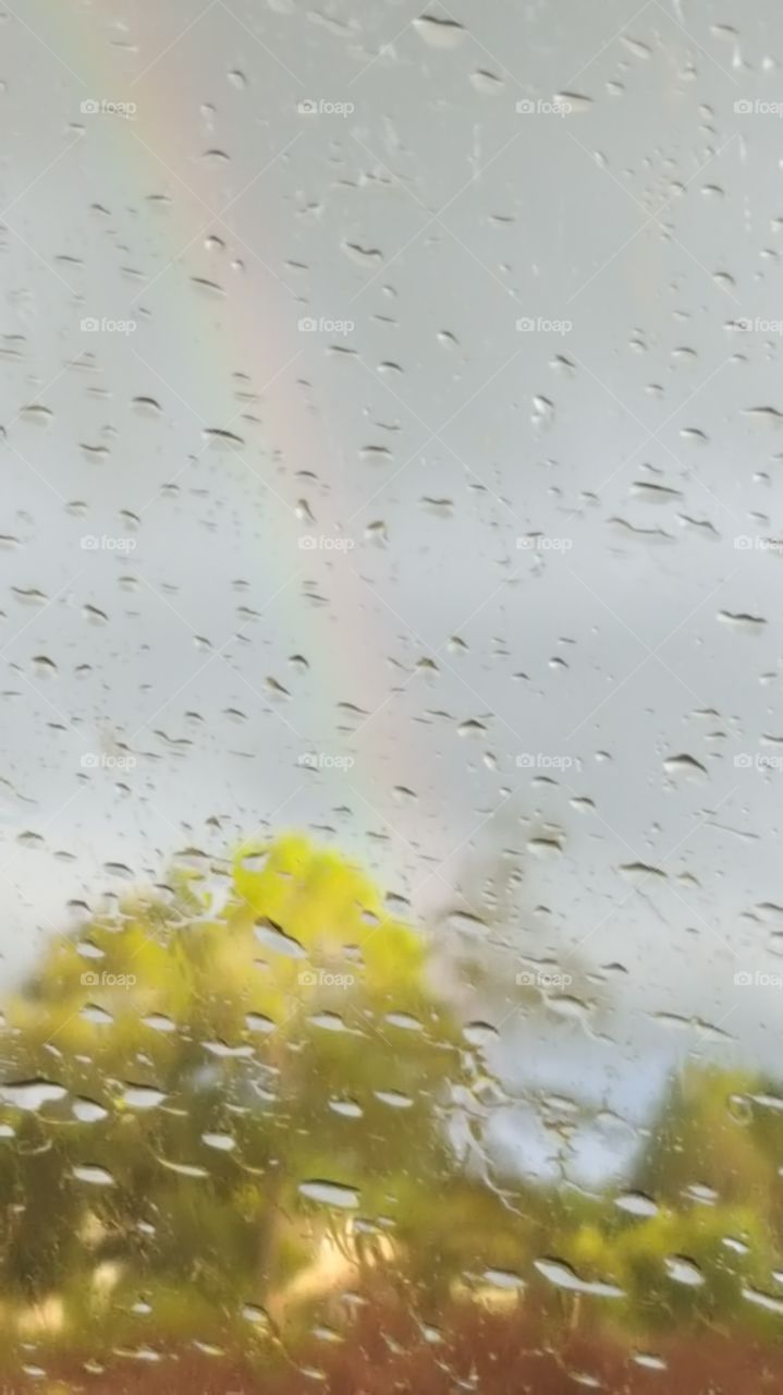 Rainbow Through the Raindrops