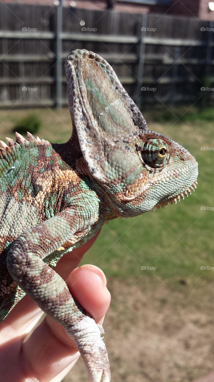 amazing 'image 'photography 'originalcontent