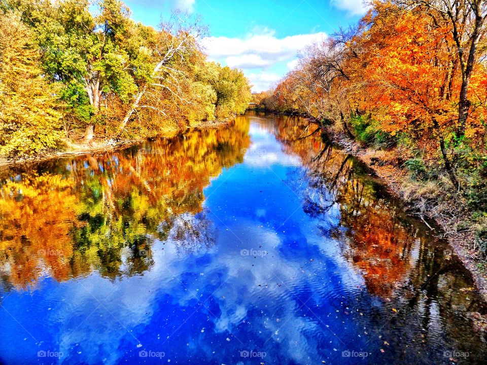 Autumn trees reflecting on river