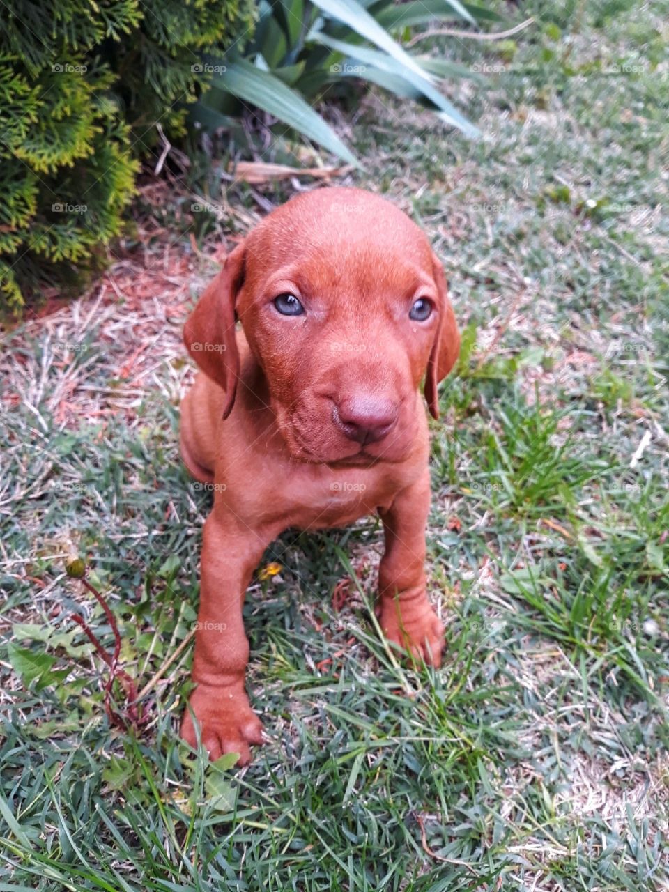 My little cutie treasure