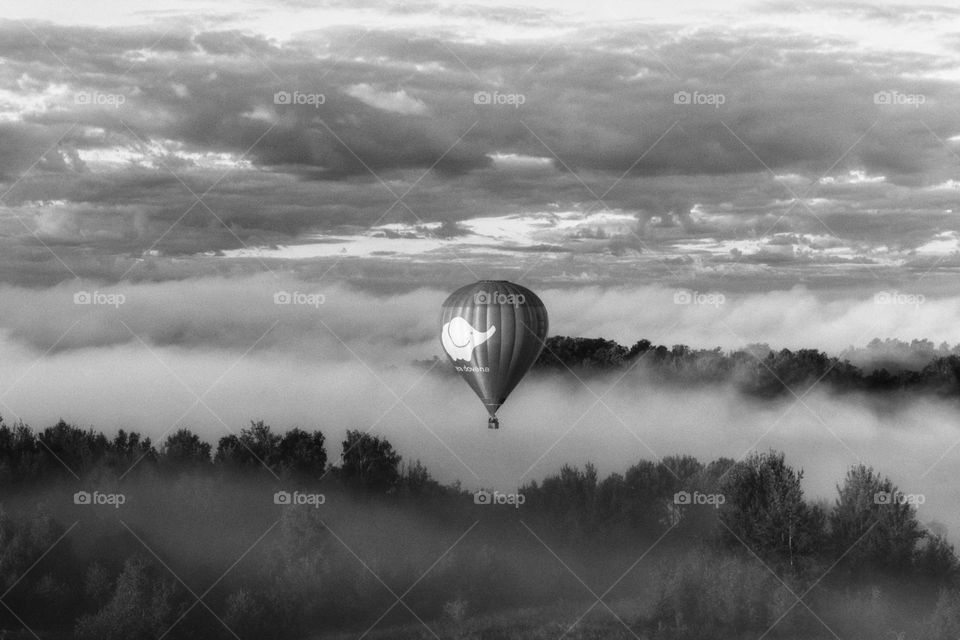 Black-and-white hot air balloon riding through fields with trees, clouds and morning fog.