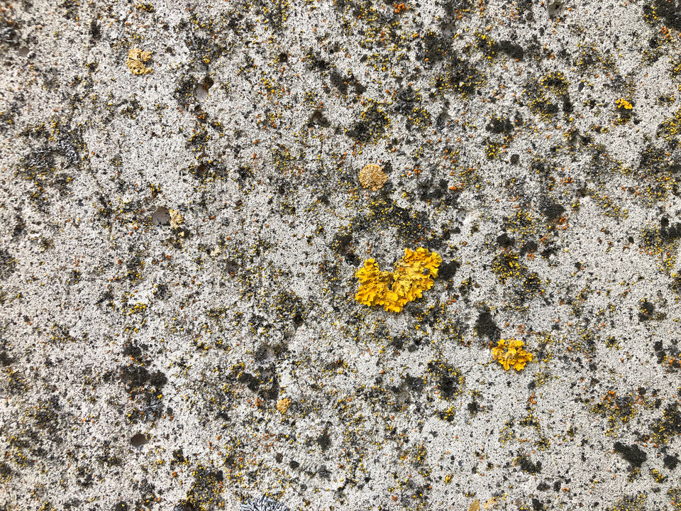 stone brick background