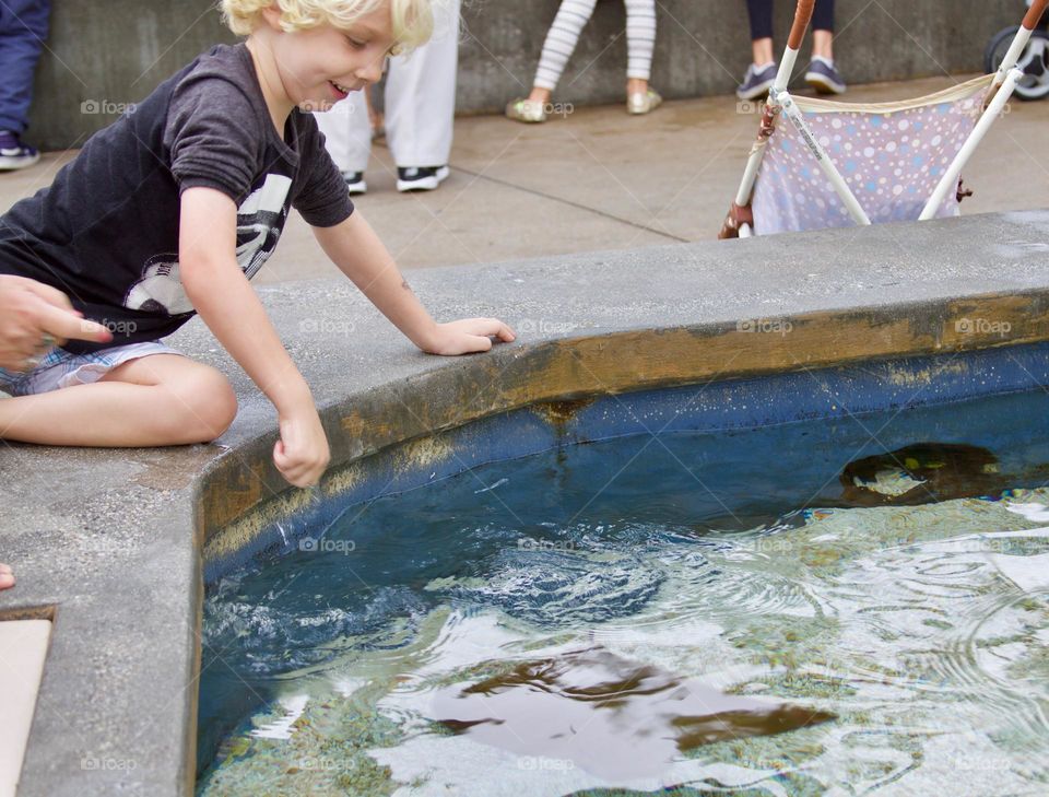 Touch Tank Fun