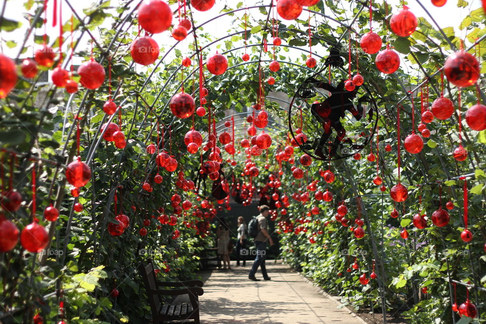 green and red tunnel