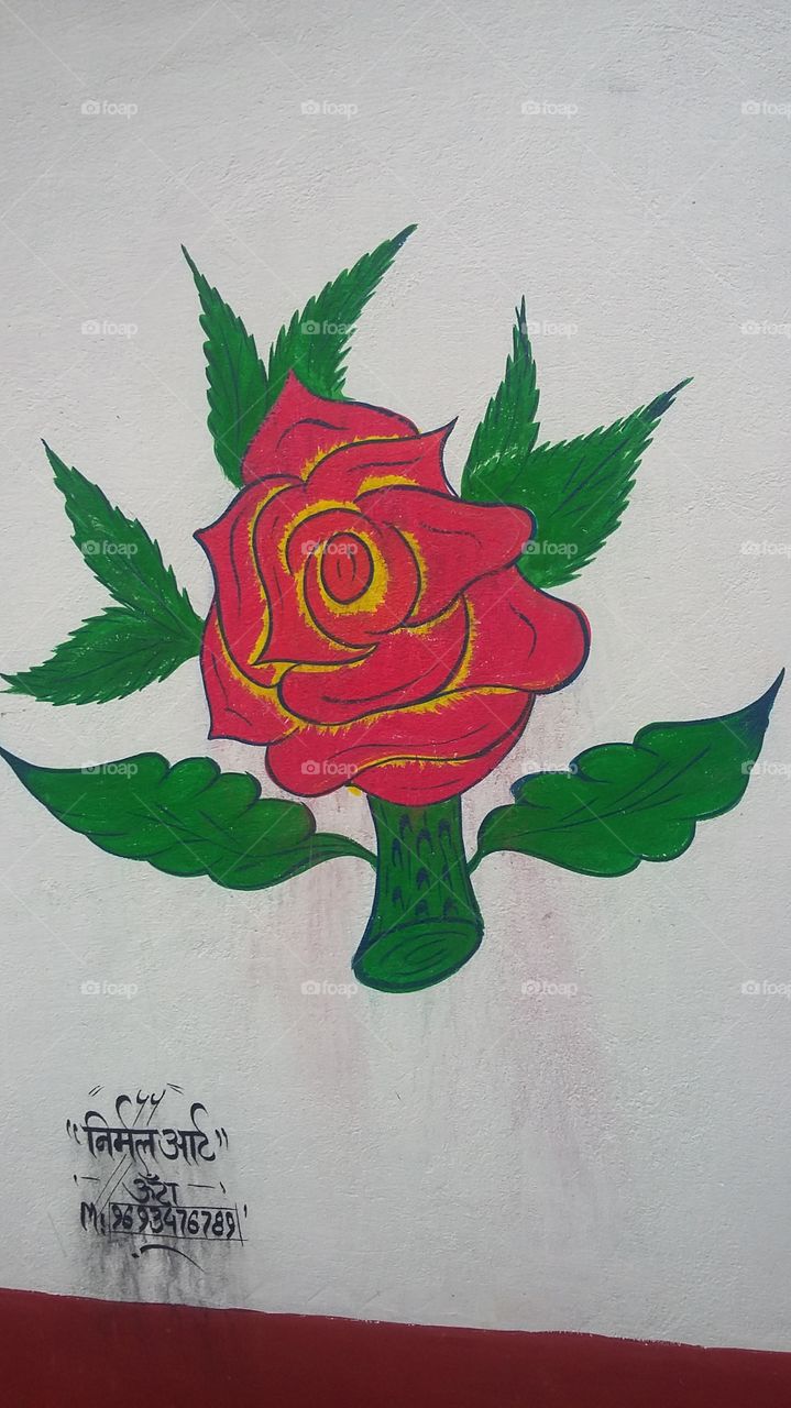 गुलाब  Rose 
Nirmal Art Unta 
Cemaraman Mukesh kumar