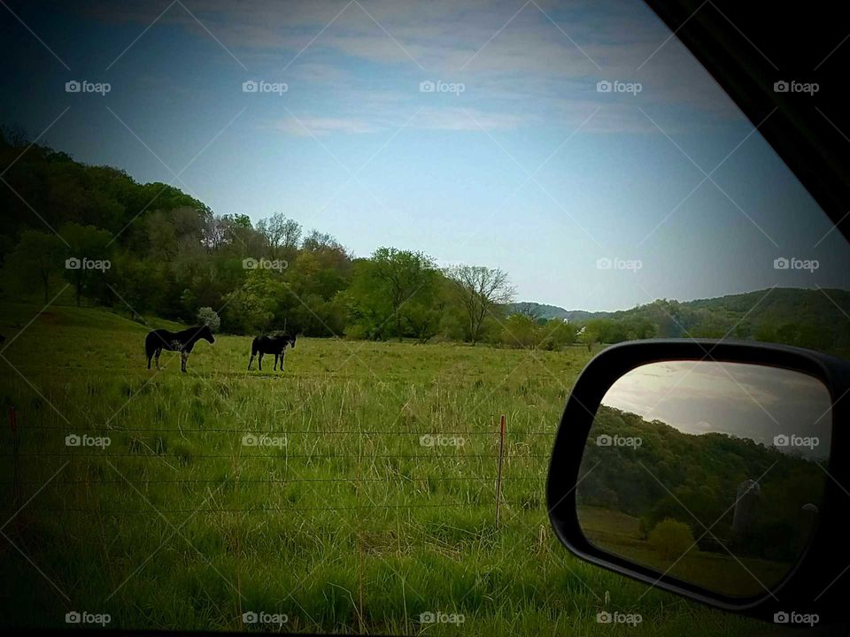 Driving the Back Roads and enjoying everything around us