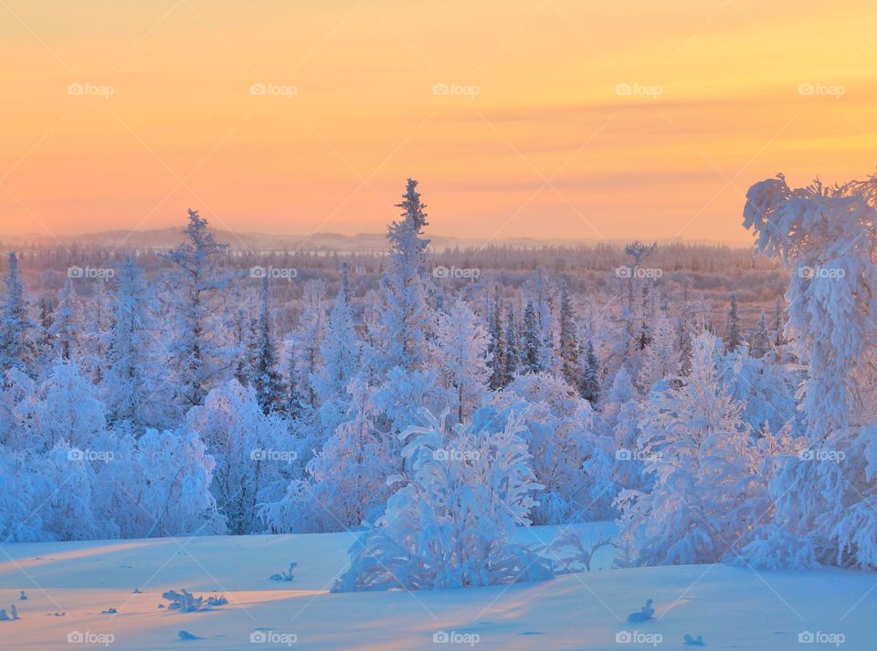 Polar dawn on a cold winter morning.