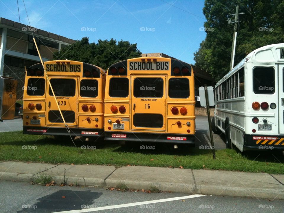 Yellow schoolbus