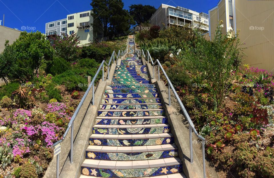 Tiled Steps, San Francisco 