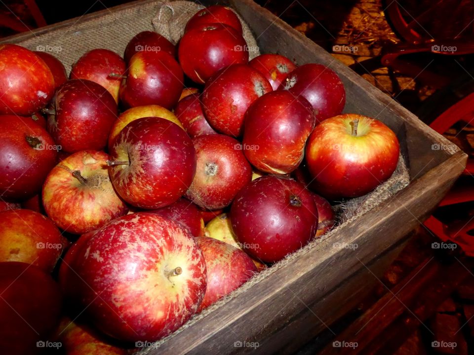 Red christmas apples in a bowl of wood