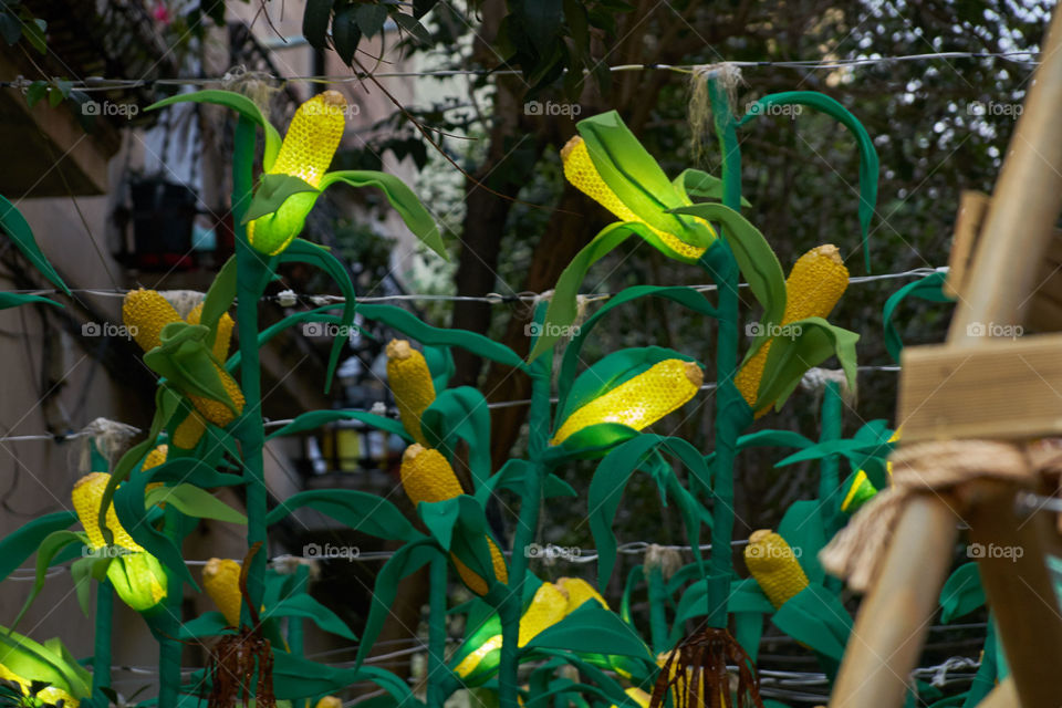 Street decoration. 