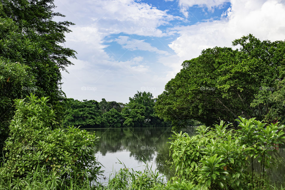 landscape view by the lake