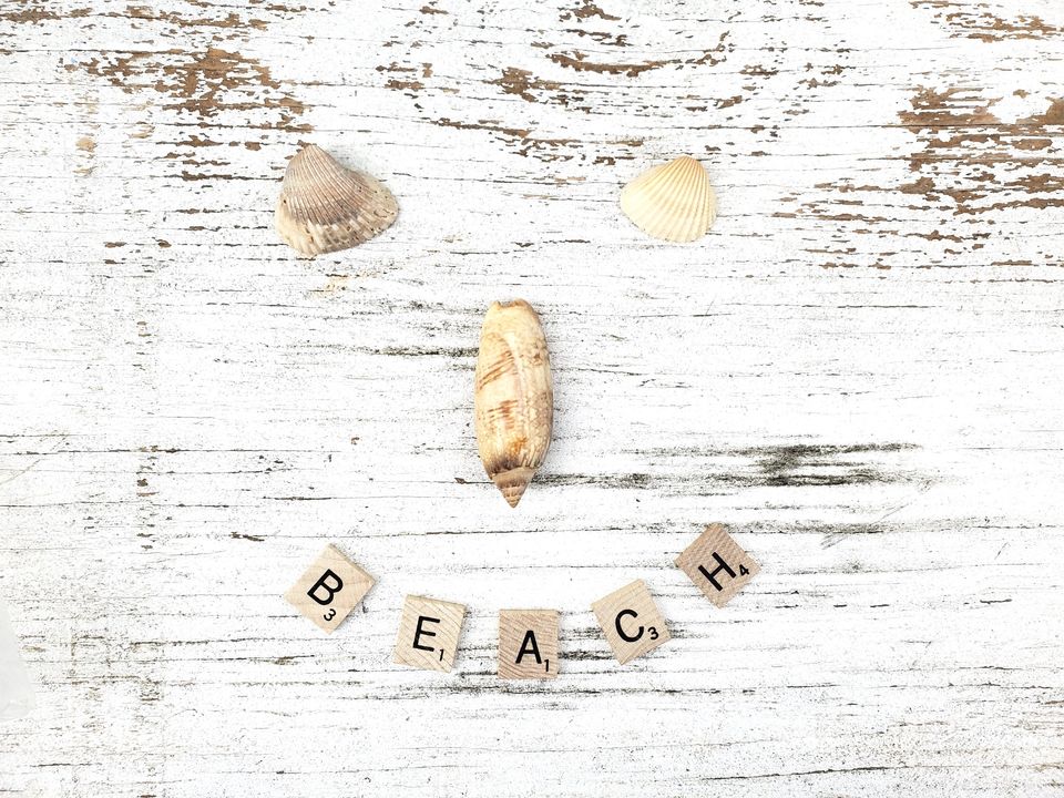 Square wooden word have a beach day and seashells on a rustic white background 