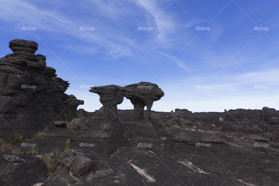 Rock formation, Mount Roraima, Canaima National Park.