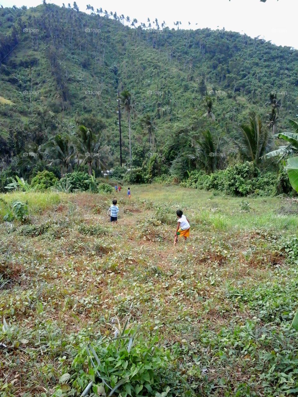 kids playing on the field