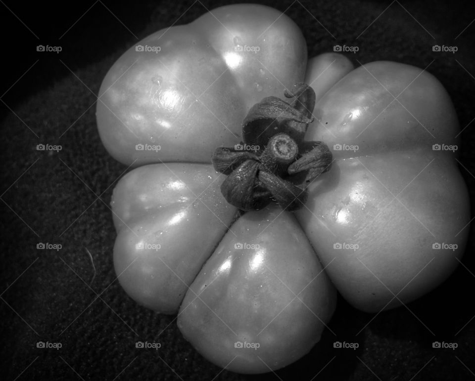 Black and White Tomato 