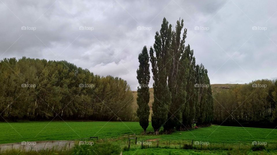 Taken in motion, landscape and beautiful scenery. karoo South Africa