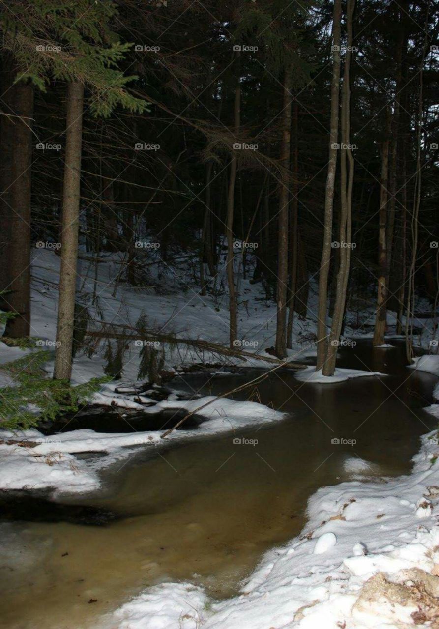 The creek is almost frozen.