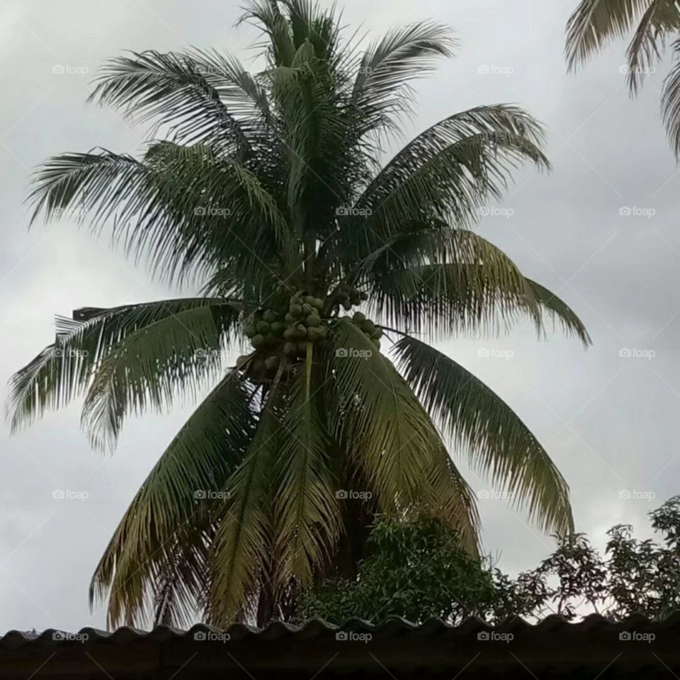 Malaysian architecture