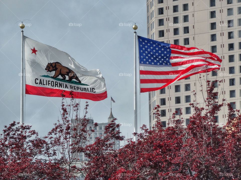 Flags Of California And USA