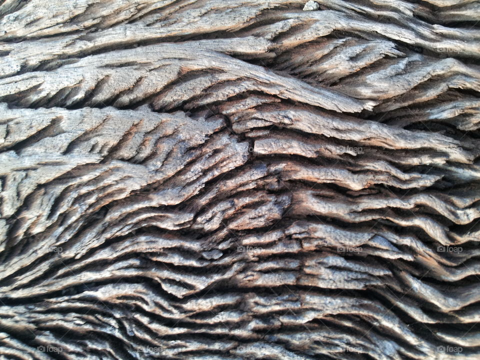 A wood abstract