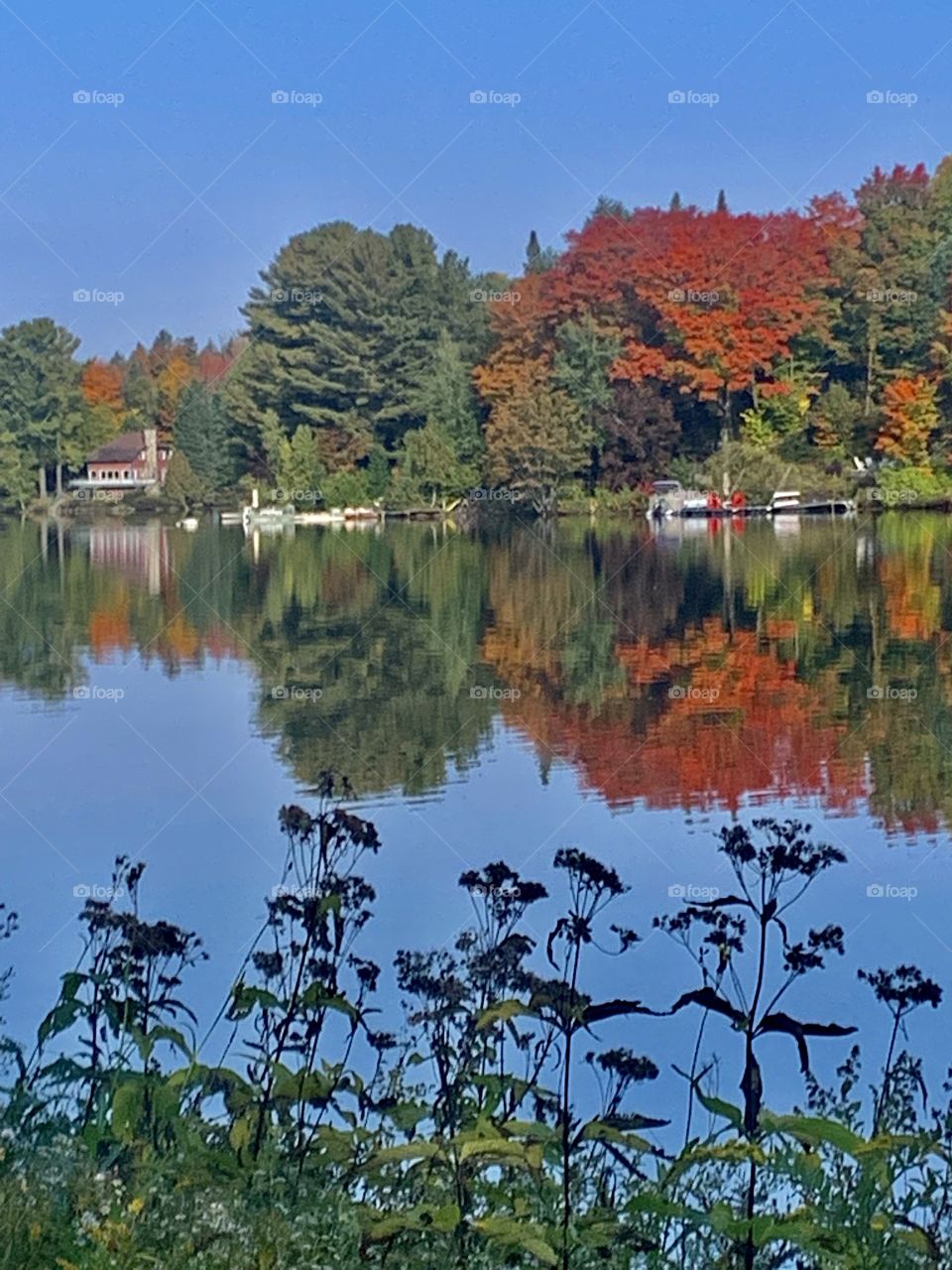 Autumn by the lake in the Laurentians, Quebec, Canada 🍁