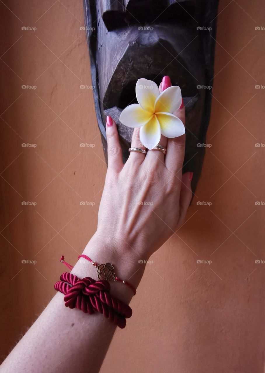 Woman's hand with a frangipani flower. Bracelets on a hand. Pink manicure. Balinese wooden sculpture.