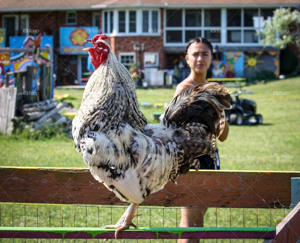 Summer vacations in a countryside