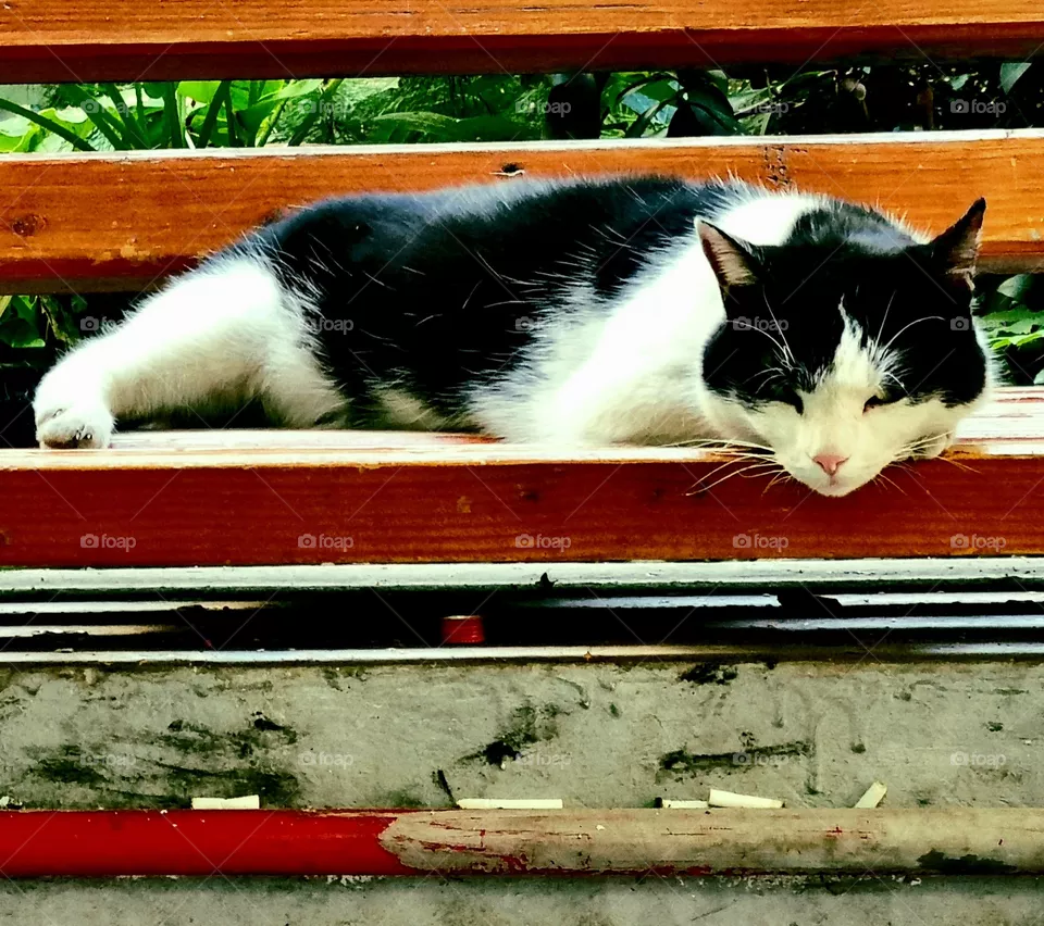 sleepy