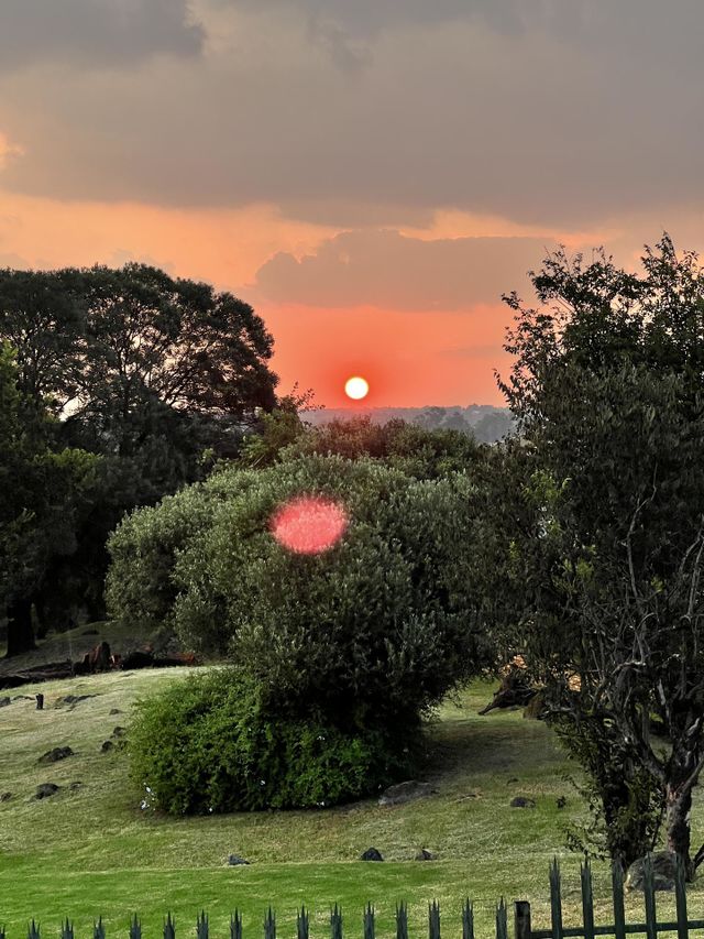 Sunsets in Jozi