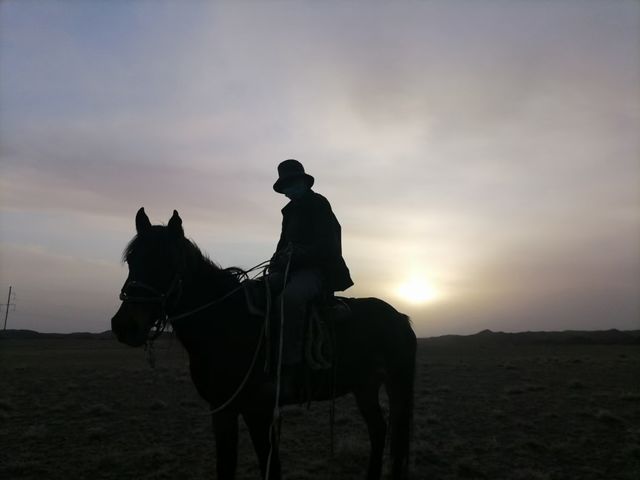 dark horse
