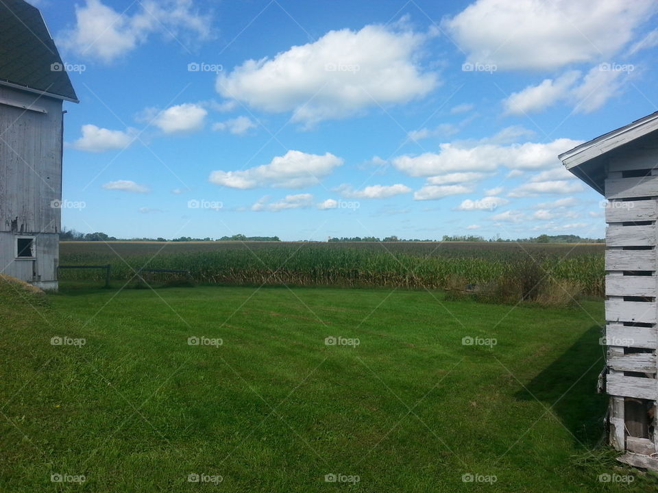 a view from my window