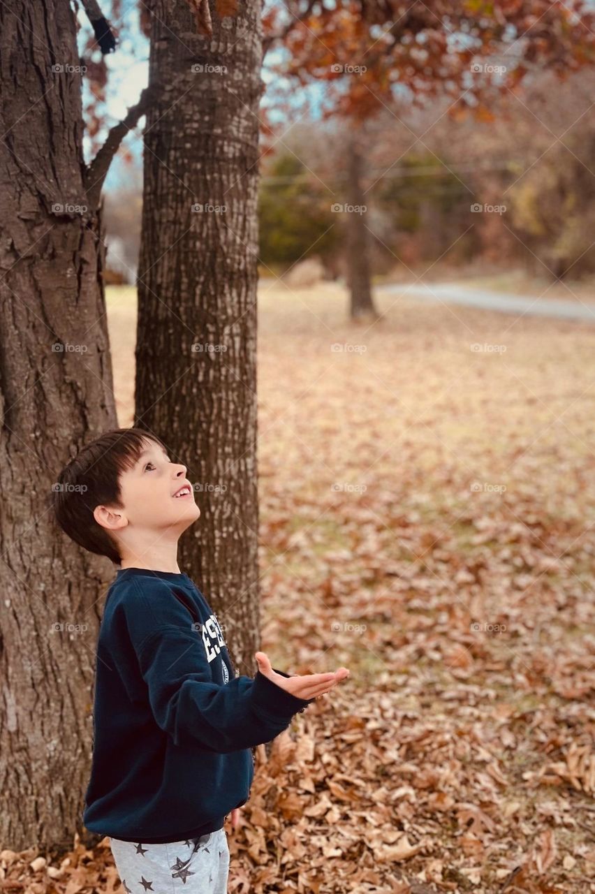 Fall vibes are in the air as a young boy waits for falling leaves in the crisp Autumn season of Tennessee