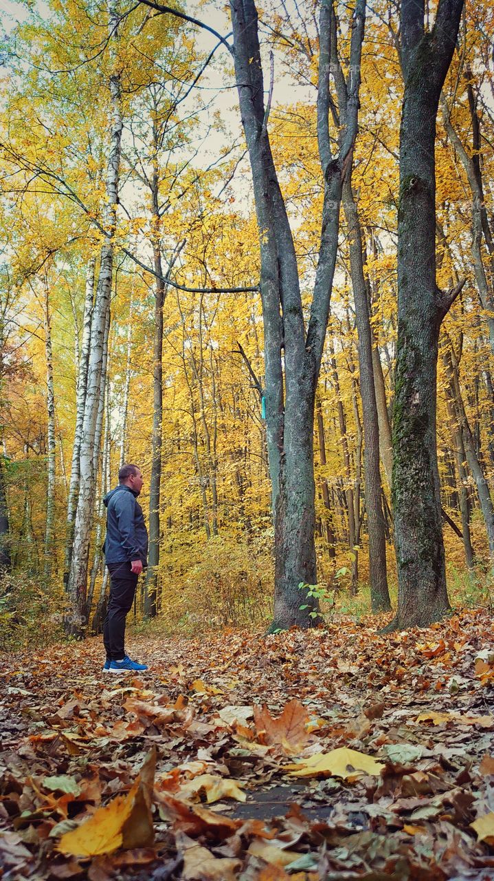 man in the autumn forest. walk in the woods.